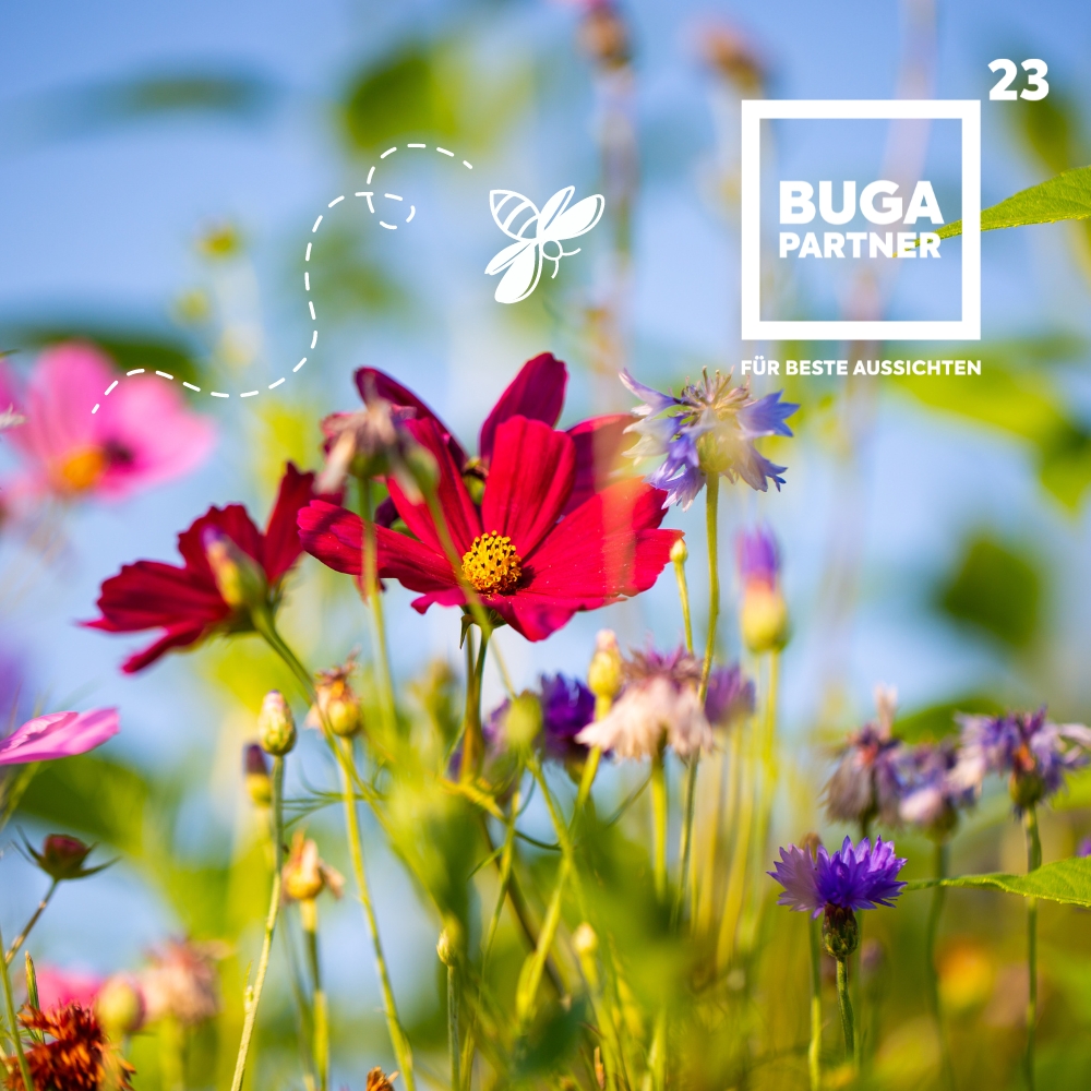 Blumenwiese mit Logo "BUGA Partner"