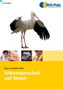 Abbildung der Broschüre "Schwangerschaft und Geburt" mit einem großen Storch