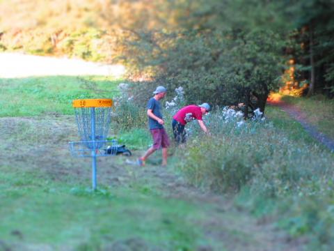 Zwei Disc Golfer suchen im Gebüsch nach den Disc Golf Scheiben