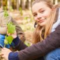 Mädchen pflanzt einen Baumsetzling im Wald