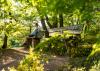 Frau sitzt im Wald auf einer Bank